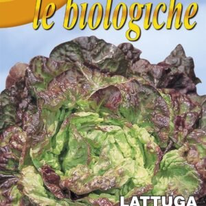 Franchi Organic BIOB79/5 Lettuce Quattro Stagioni Seeds