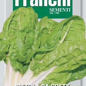 Franchi Seeds of Italy - DBO 14/2 - Swiss Chard - Bionda Di Lione 2 - Seeds