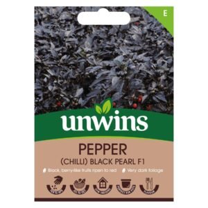 Unwins Vegetable Chilli Pepper Black Pearl F1 Hybrid - 5 Seeds