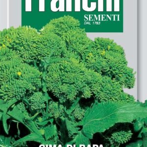 Franchi Seeds of Italy Turnip Tops Novantina Seeds