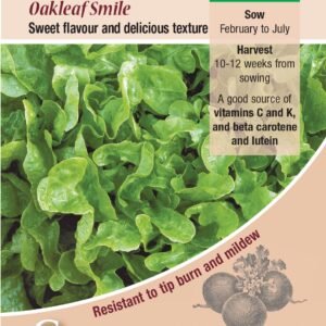 Kings Seeds Lettuce Oakleaf Smile 200 Seeds