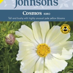 Johnsons Seeds Cosmos Kiiro 50 Seeds