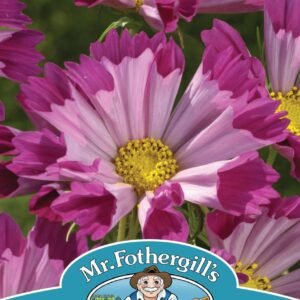 Mr Fothergills - Flower - Cosmos - Seashells Red - 30 Seeds