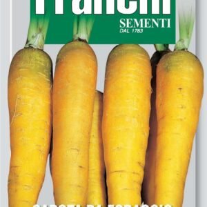 Franchi Seeds of Italy Forage Carrot Jaune Du Doubs Seeds