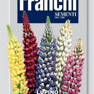 Franchi Seeds of Italy - Flower - FDBF_ 335-1 - Lupin - alto Multicolour - Seeds