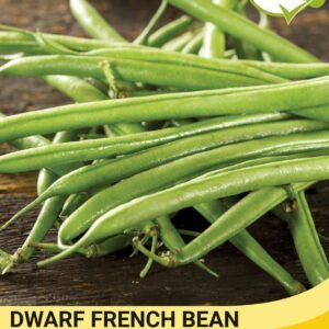 Thompson & Morgan  Vegetable Dwarf French Bean Compass (Green) - 40 Seeds