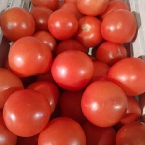 Tomato Outdoor Girl Seeds