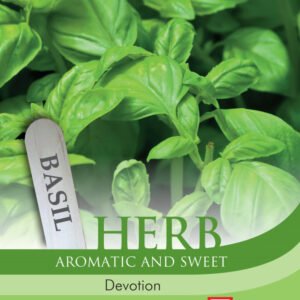 Thompson & Morgan  Herb Basil Devotion - 100 Seeds