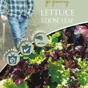Mr Fothergills - David Domoney - Vegetable - Lettuce Loose Leaf - Lollo Mixed - 1000 Seeds