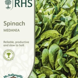 Mr Fothergills - RHS - Vegetable - Spinach - Medania - 500 Seeds