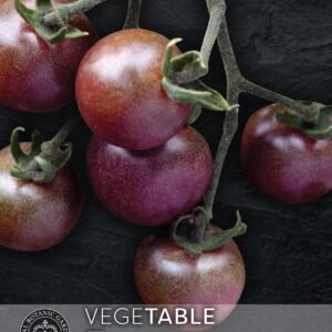 Thompson & Morgan Kew Vegetable Tomato Black Cherry - 25 Seeds