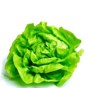 Lettuce Compact Green Butterhead Weldon RZ - LS11153 Seeds