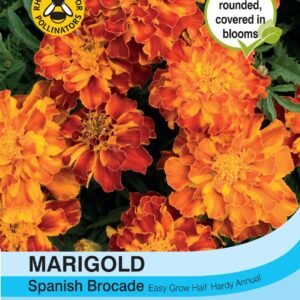 Thompson & Morgan French Marigold Spanish Brocade Seed