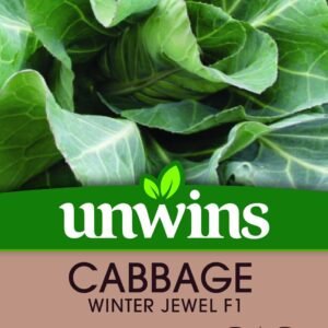Unwins Cabbage Winter Jewel 40 Seeds