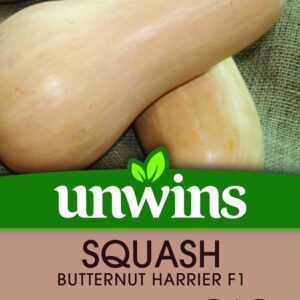 Unwins Squash Butternut Harrier F1 - 10 Seeds