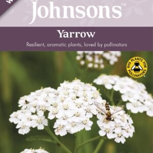 Johnson Seeds - Wild Flower - Yarrow  - 250 Seeds