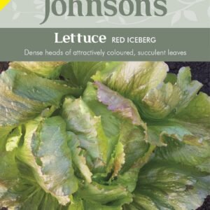 Johnson Seeds - Vegetable - Lettuce Red Iceberg  - 750 Seeds