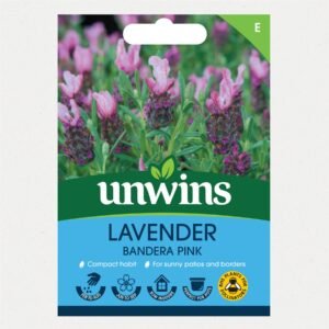 Unwins Flower Lavender Bandera Pink - 10 Seeds