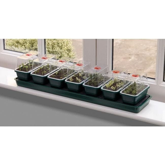 35a-g136-super-7-self-watering-propagator_10_1_comp_a3f0d06c-62f5-4f28-9bca-da26995bd785.jpg