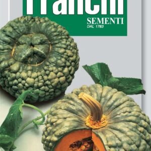 Franchi Seeds of Italy Pumpkin Marina Di Chioggia Seeds