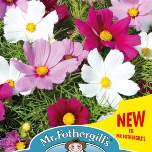 Mr Fothergills - Flower - Cosmos - Candyfloss Mixed (Dwarf) - 60 Seeds