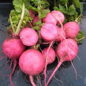 Radish Redmoon F1 Hybrid Seeds
