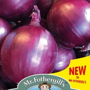 Mr Fothergills - Vegetable - Onion - Red Flash F1 -  Seeds
