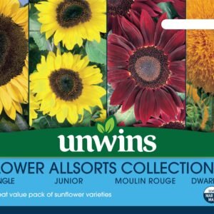 Unwins Sunflower Allsorts Collection Pack Seeds