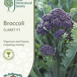 Mr Fothergills RHS Broccoli Claret F1 60 Seeds