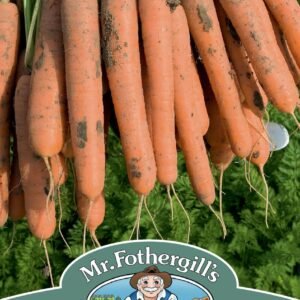 Mr Fothergills - Vegetable - Carrot - Nerac F1 -  Seeds