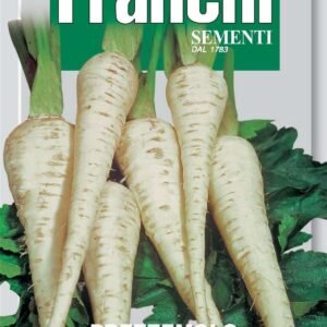 Franchi Seeds of Italy Root Parsley Halflange Berliner Seeds