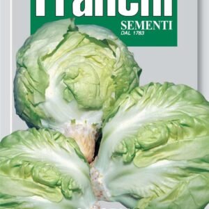 Franchi Seeds of Italy Chicory Mantovana Seeds