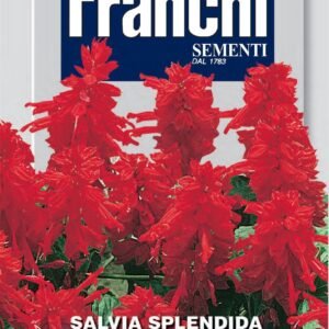 Franchi Seeds of Italy - Flower - FDBF_ 348-3 - Sage - Splendens Alta - Seeds