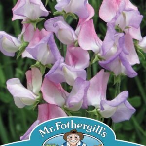Mr Fothergills - Flower - Sweet Pea - Fire & Ice - 20 Seeds