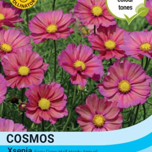 Thompson & Morgan  Flower Cosmos Xsenia - 25 Seeds