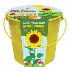Taylors Bulbs GYO Kids Sunflower Planter.