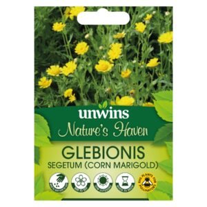 Unwins Flower Native British Isles Wildflower Corn Marigold - 200 Seeds