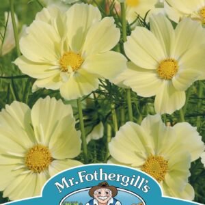 Mr Fothergills - Flower - Cosmos - Xanthos - 20 Seeds
