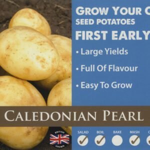 Taylors - Seed Potatoes - Caledonian Pearl - 10 Tubers - First Early
