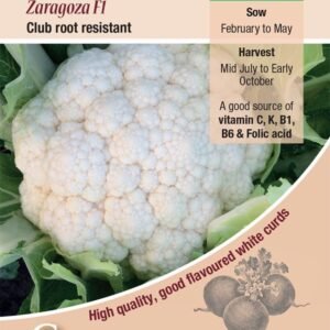 Kings Seeds  Cauliflower Zaragoza F1 Seeds