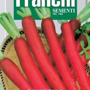 Franchi Seeds of Italy Radish Candela Di Fuoco Seeds