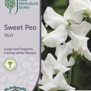Mr Fothergills RHS Sweet Pea Jilly 25 Seeds