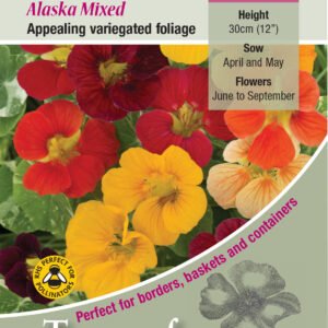 Kings Seeds Nasturtium Alaska Mixed 40 Seed