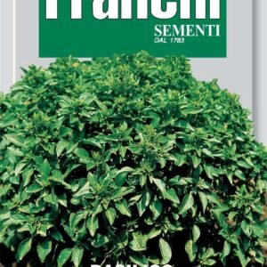 Franchi Basil Verde A Piccole Foglie Seeds