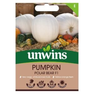 Unwins Vegetable Pumpkin Polar Bear F1 Hybrid - 5 Seeds