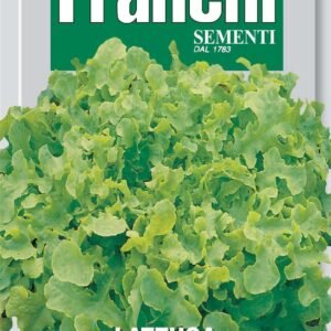 Franchi Seeds of Italy - DBO 78/24 - Lettuce - Salad Bowl - Seeds