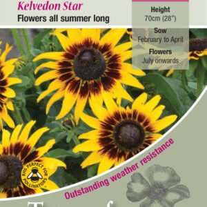 Kings Seeds Rudbeckia hirta Kelvedon Star 150 Seed