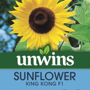 Unwins Sunflower King Kong F1 15 Seeds