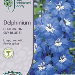 Mr Fothergills RHS Delphinium Centurion Sky Blue F1 20 Seeds