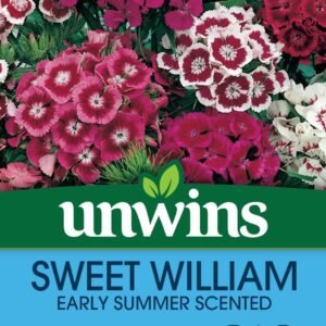 Unwins Sweet William Early Summer Scented 450 Seeds